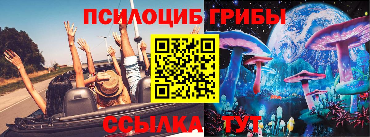 Черемхово  Галлюциногенные грибы MAGIC MUSHROOMS  Псилоцибиновые грибы мицелий  Вход с VPN 