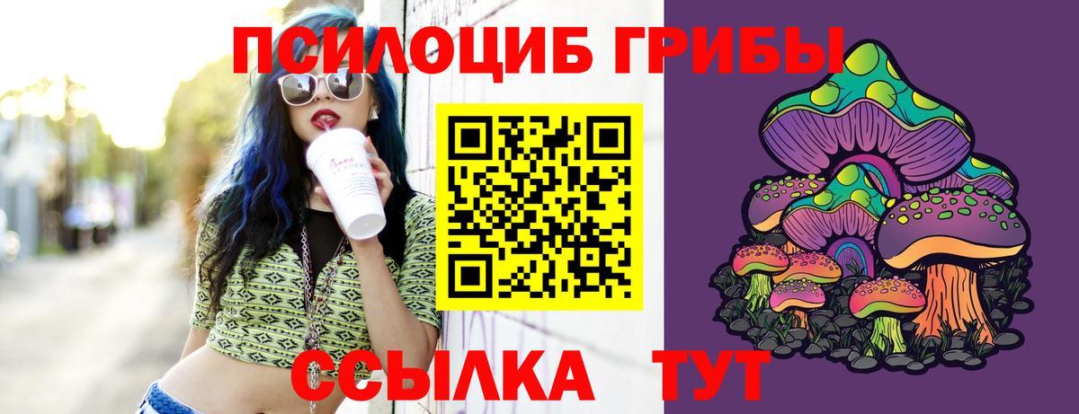 Псилоцибиновые грибы мухоморы Черемхово